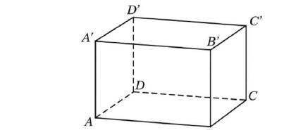 Hình hộp ABCD.A'B'C'D'