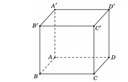 Hình lập phương ABCD.A'B'C'D'