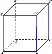 Hình hộp chữ nhật ABCD.A'B'C'D'