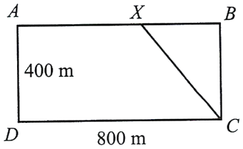 Bể bơi hình chữ nhật ABCD và điểm X trên AB