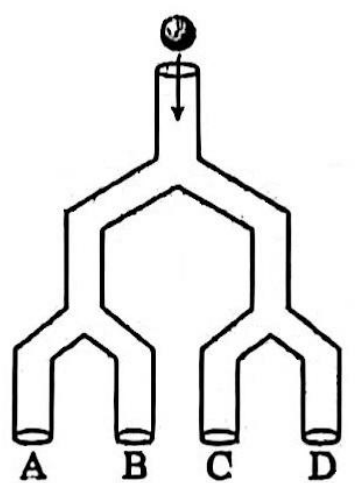 Sơ đồ máy trò chơi rẽ nhánh A, B, C, D